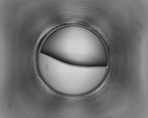X0000112911122200908241001