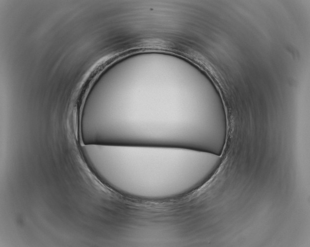 X0000112911123200908241001