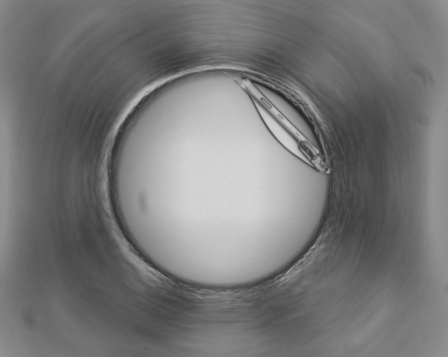 X0000112911124200908241001
