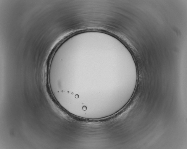X0000112911126200908241001