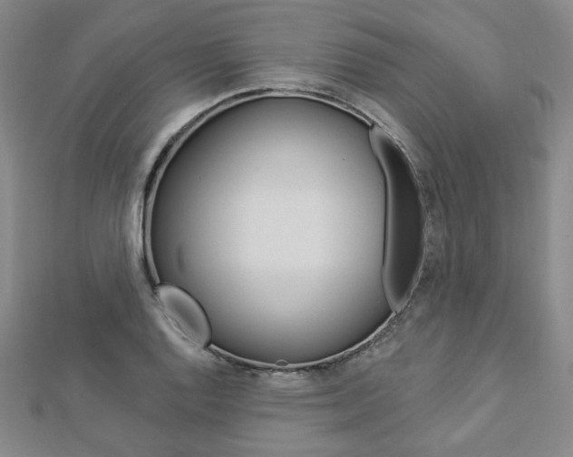 X0000112911128200908241001