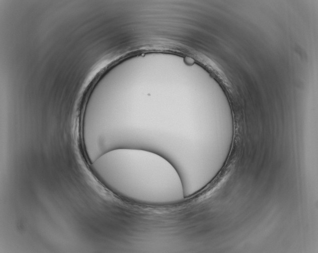 X0000112911130200908241001