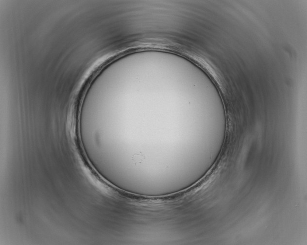 X0000112911131200908241001