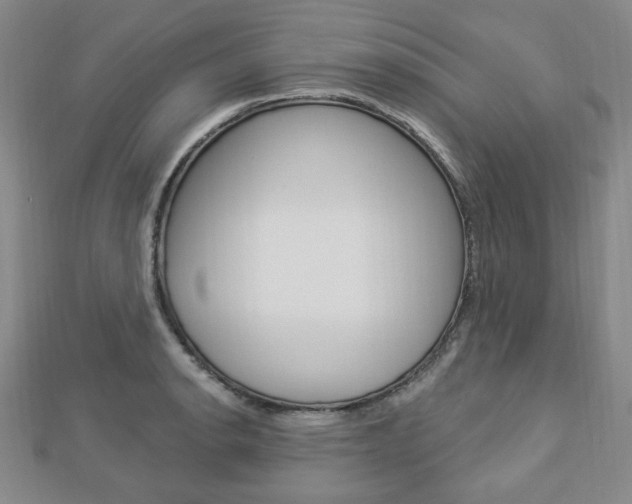 X0000112911134200908241001