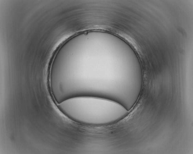 X0000112911135200908241001