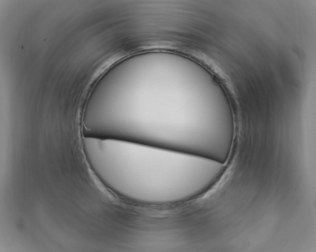X0000112911137200908241001