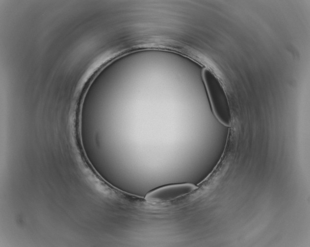X0000112911138200908241001