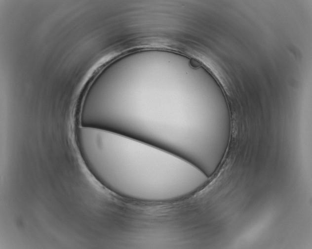 X0000112911139200908241001