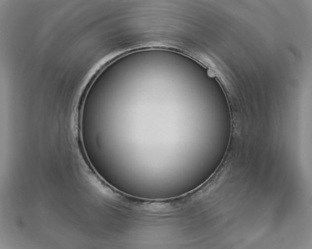 X0000112911140200908241001
