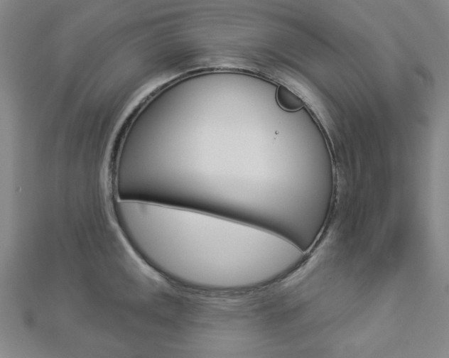 X0000112911141200908241001