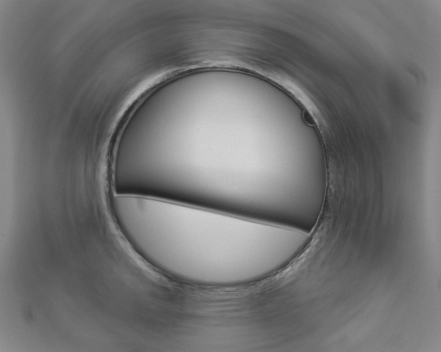 X0000112911142200908241001