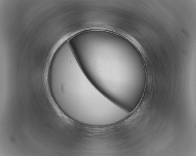 X0000112911144200908241002