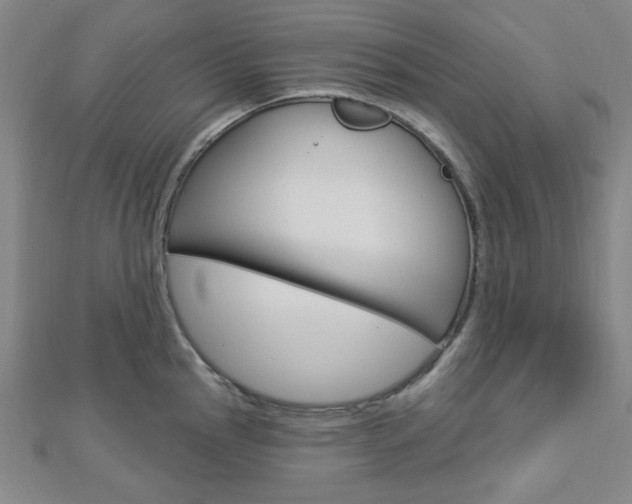 X0000112911145200908241002