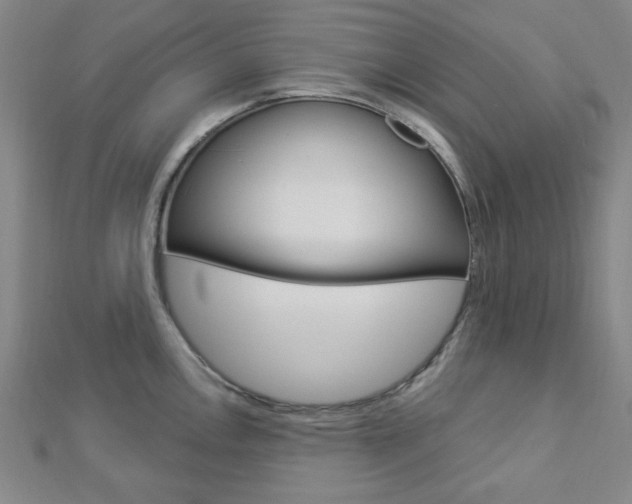 X0000112911146200908241002