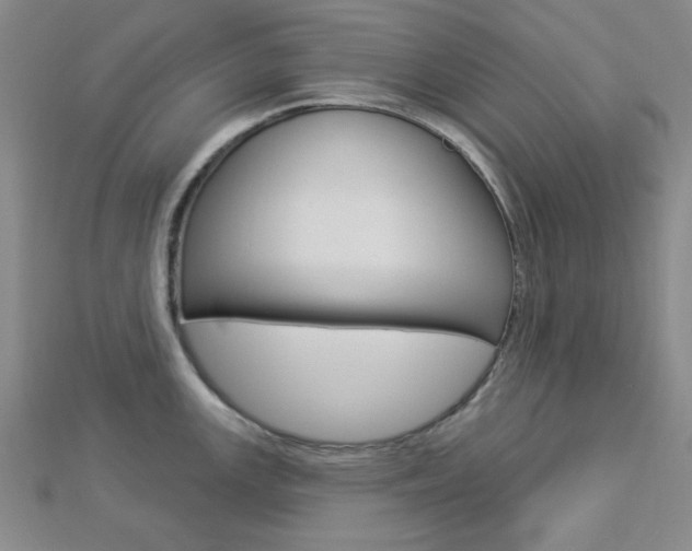 X0000112911147200908241002