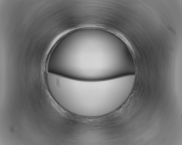 X0000112911148200908241002