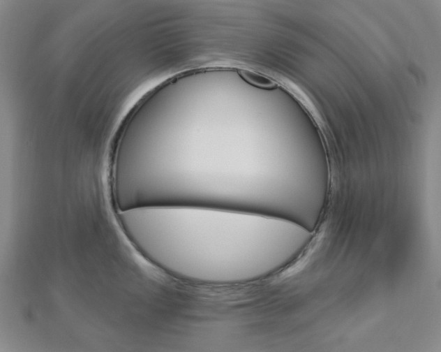 X0000112911149200908241002