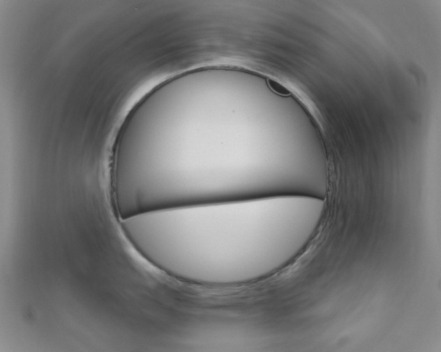 X0000112911151200908241002