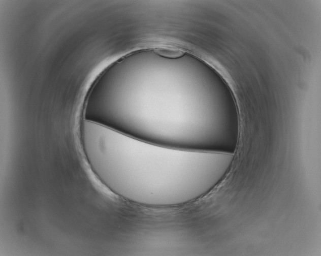 X0000112911152200908241002