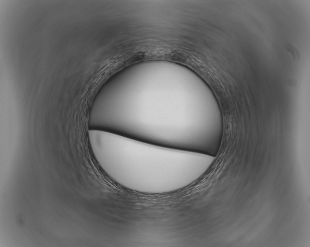 X0000112911153200908241001