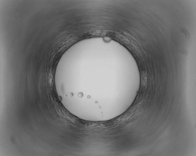 X0000112911154200908241001