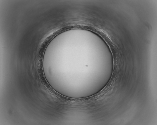 X0000112911159200908241001