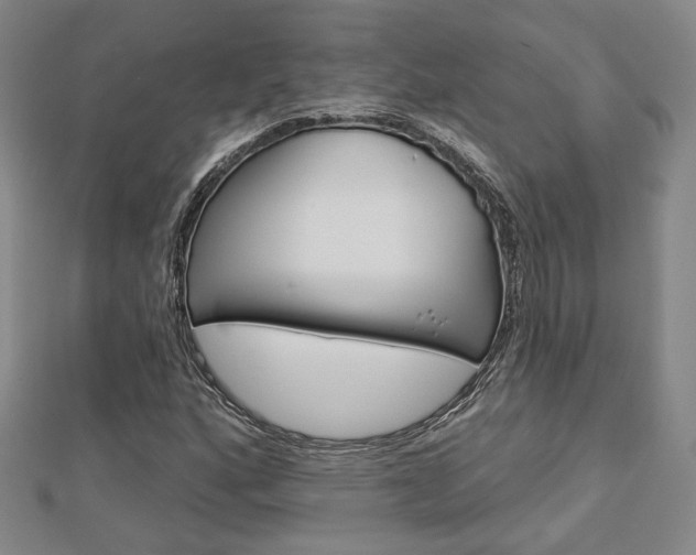 X0000112911160200908241001