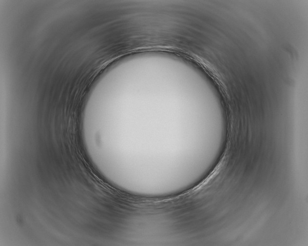X0000112911161200908241001