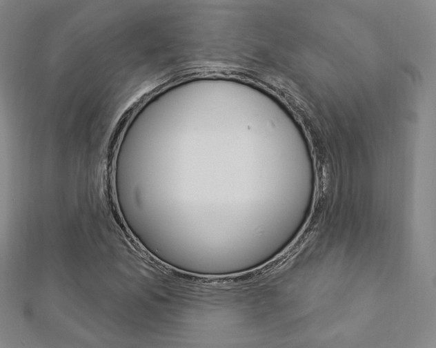 X0000112911165200908241001