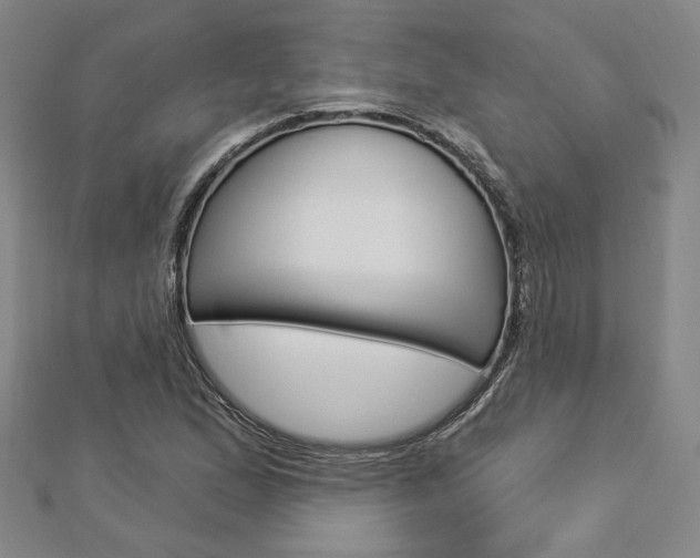 X0000112911167200908241001