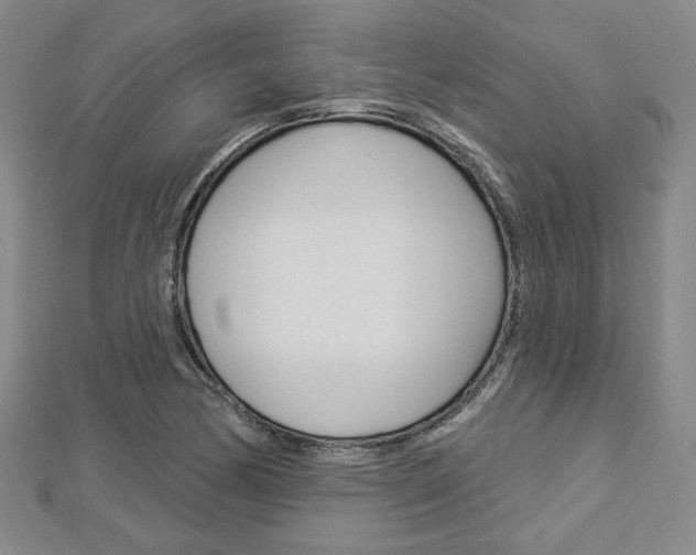 X0000112911170200908241001