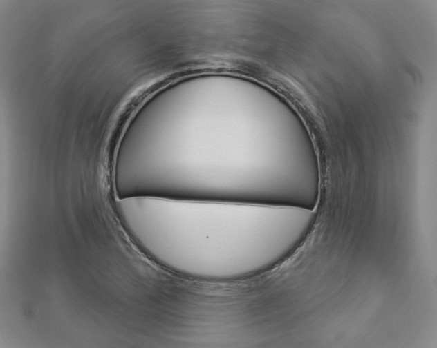 X0000112911172200908241001