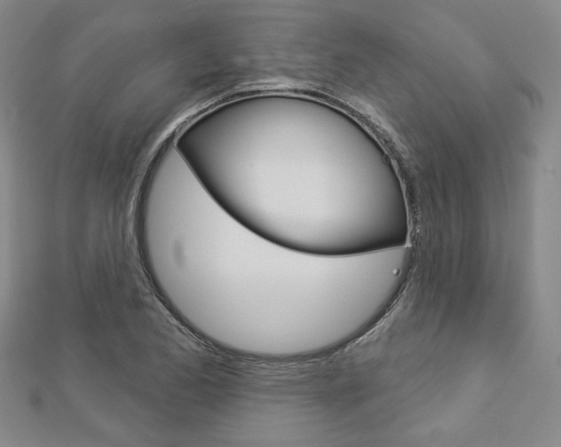 X0000112911173200908241001