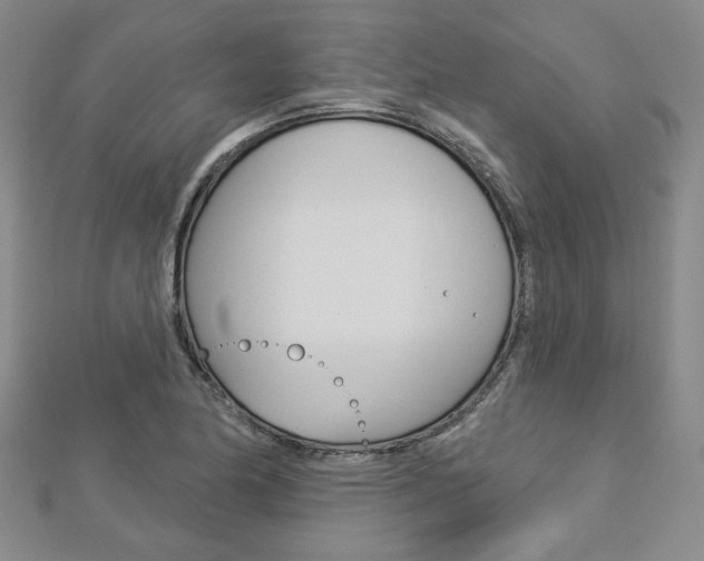 X0000112911174200908241001