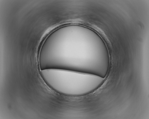 X0000112911176200908241001