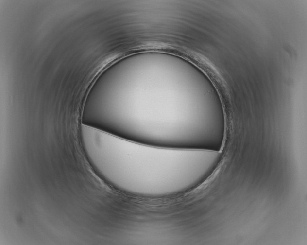 X0000112911177200908241001