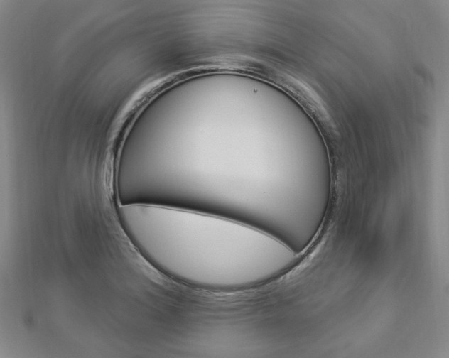 X0000112911180200908241001