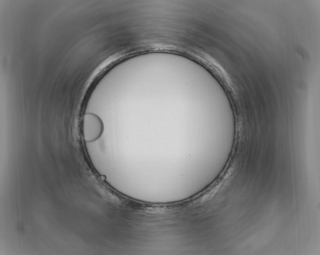 X0000112911182200908241001