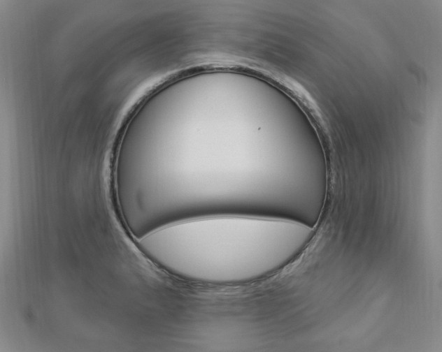 X0000112911183200908241001