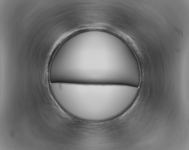 X0000112911184200908241001