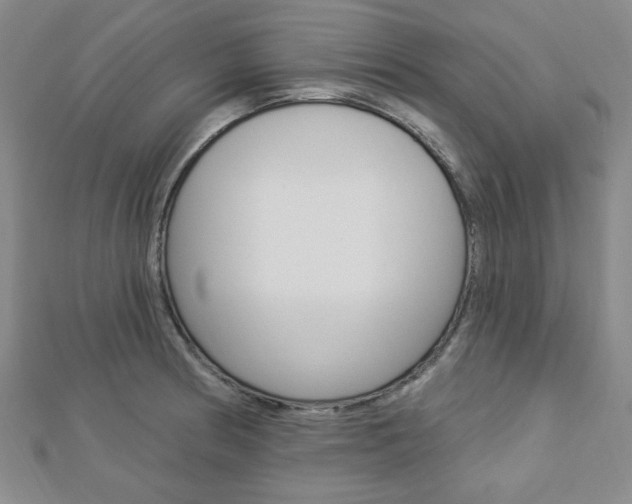 X0000112911186200908241001