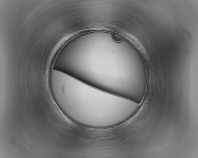 X0000112911188200908241001