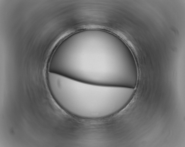X0000112911189200908241001