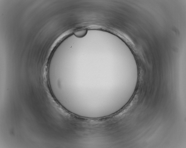 X0000112911190200908241001