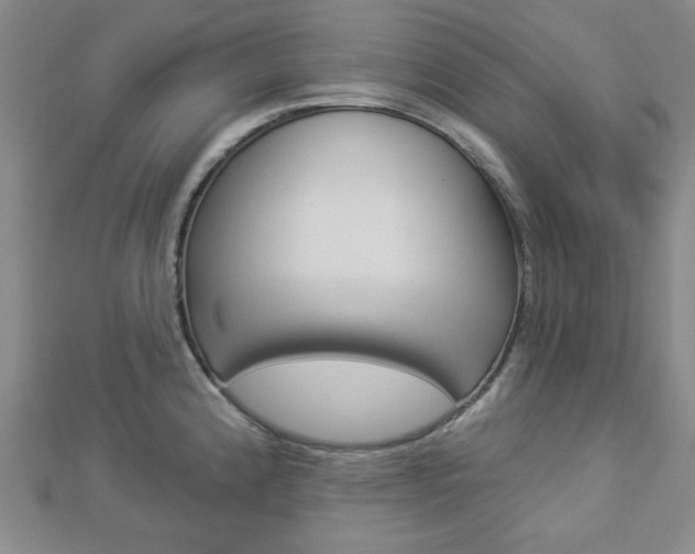 X0000112911192200908241000