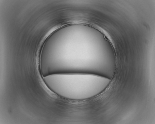 X0000112911195200908241000