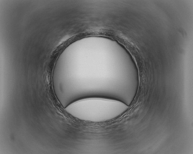 X0000112911206200908241000