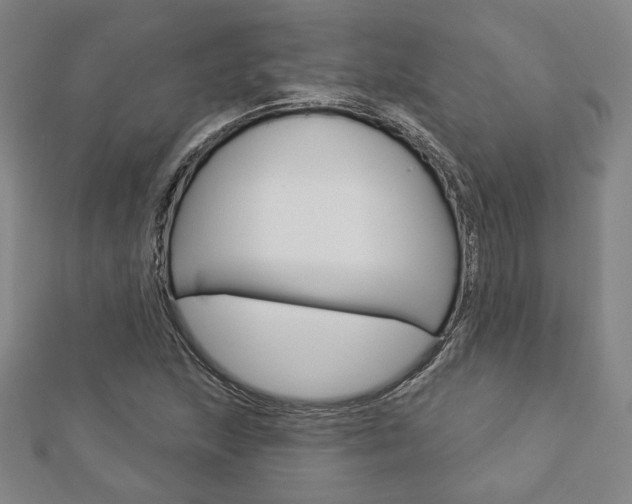X0000112911215200908241000