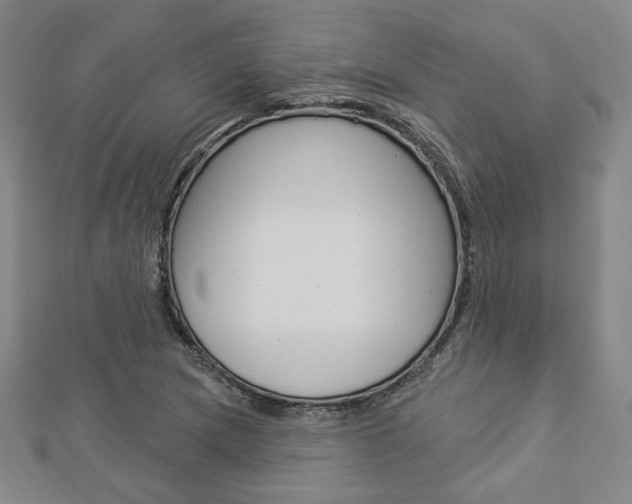 X0000112911217200908241000