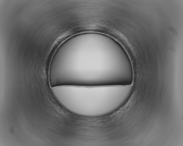X0000112911218200908241000